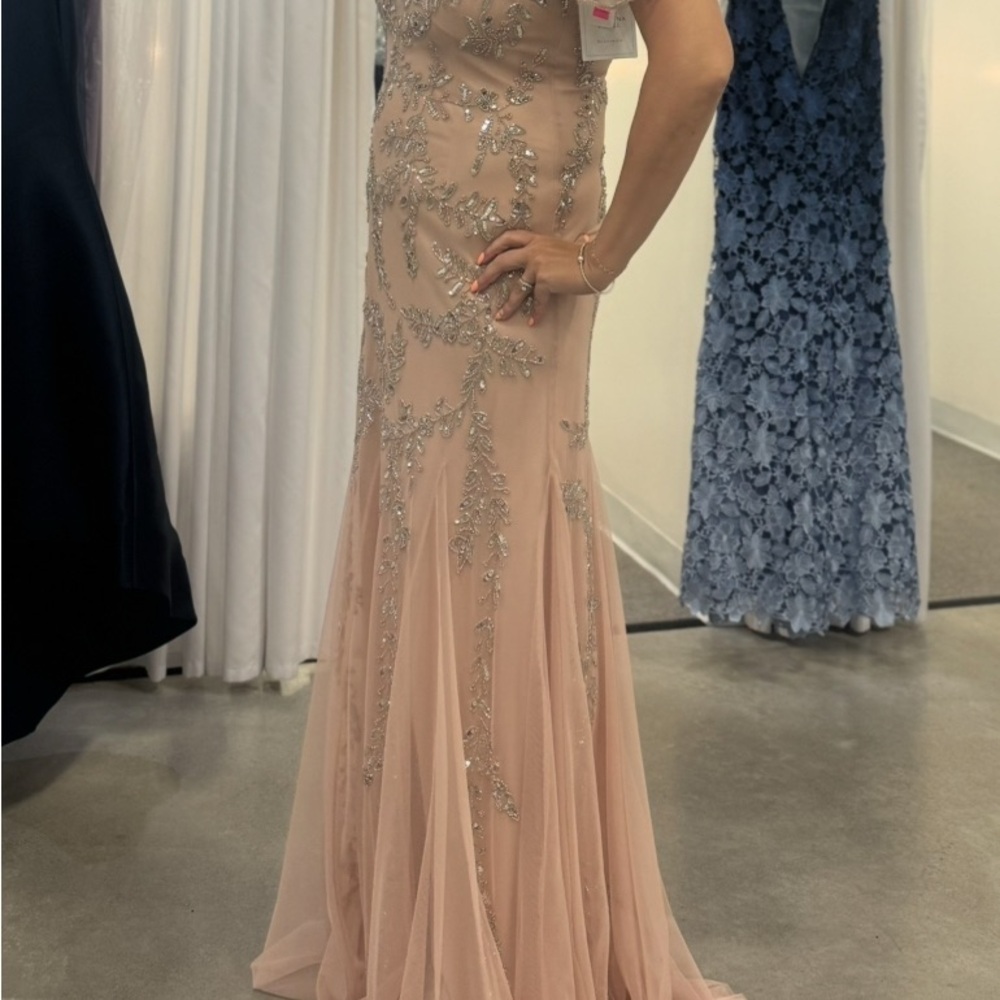 Adrianna Papell Blush and Silver Maxi Dress